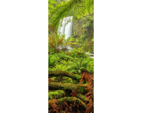 FOREST MAGIC. Hopetoun Falls - Great Otway National Park. Wall Art.