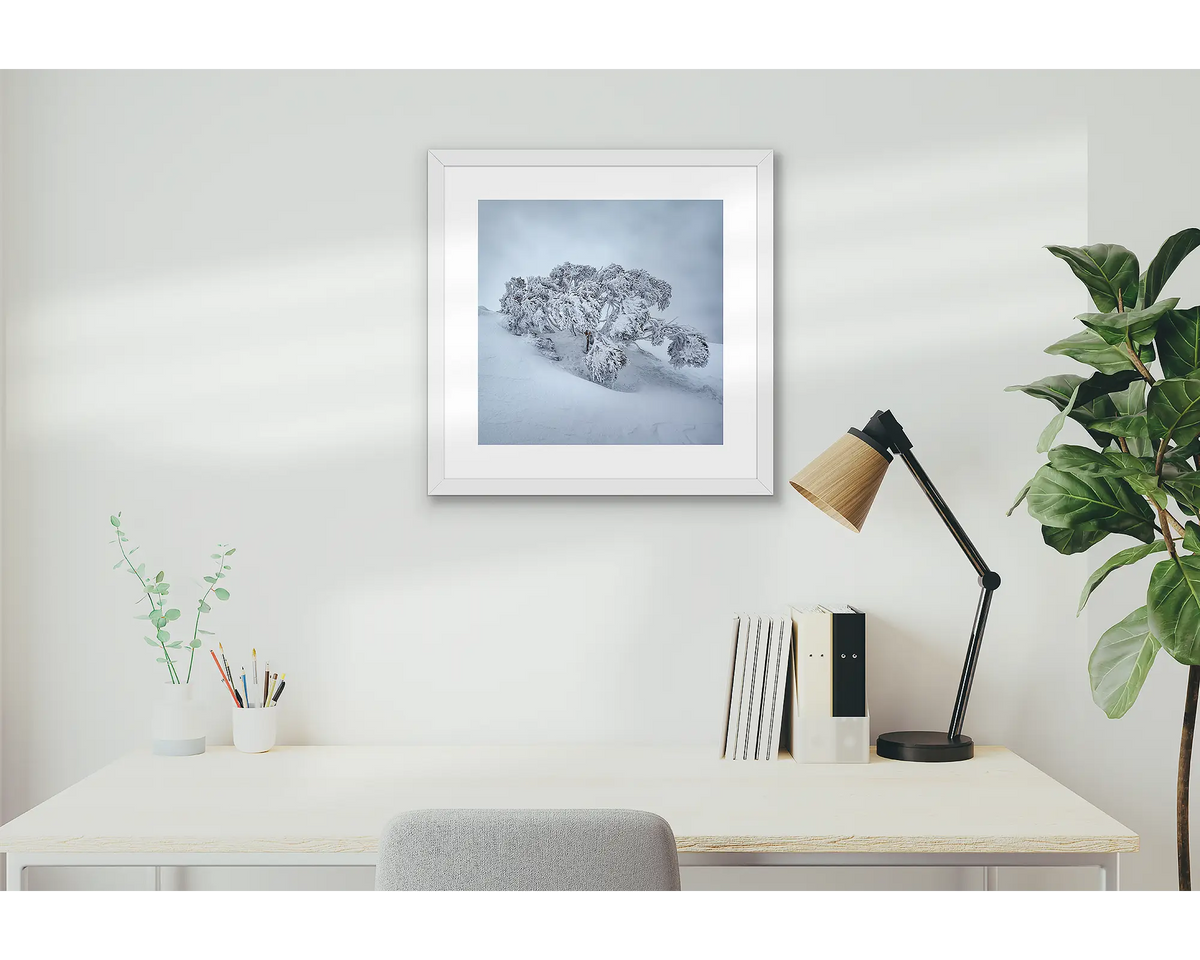 Frozen. Snow gum artwork, hanging above a study desk.