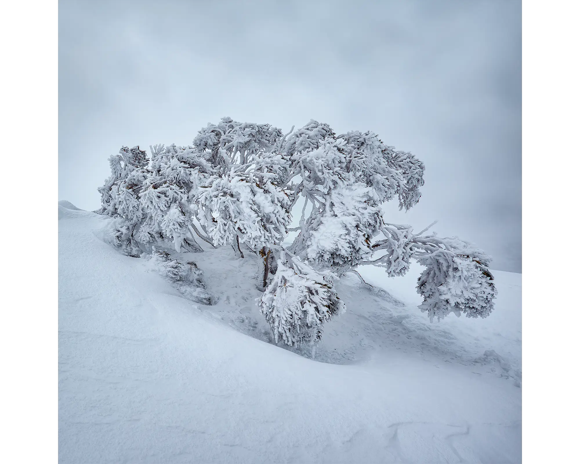 Frozen - Acrylic block snow in snow artwork.