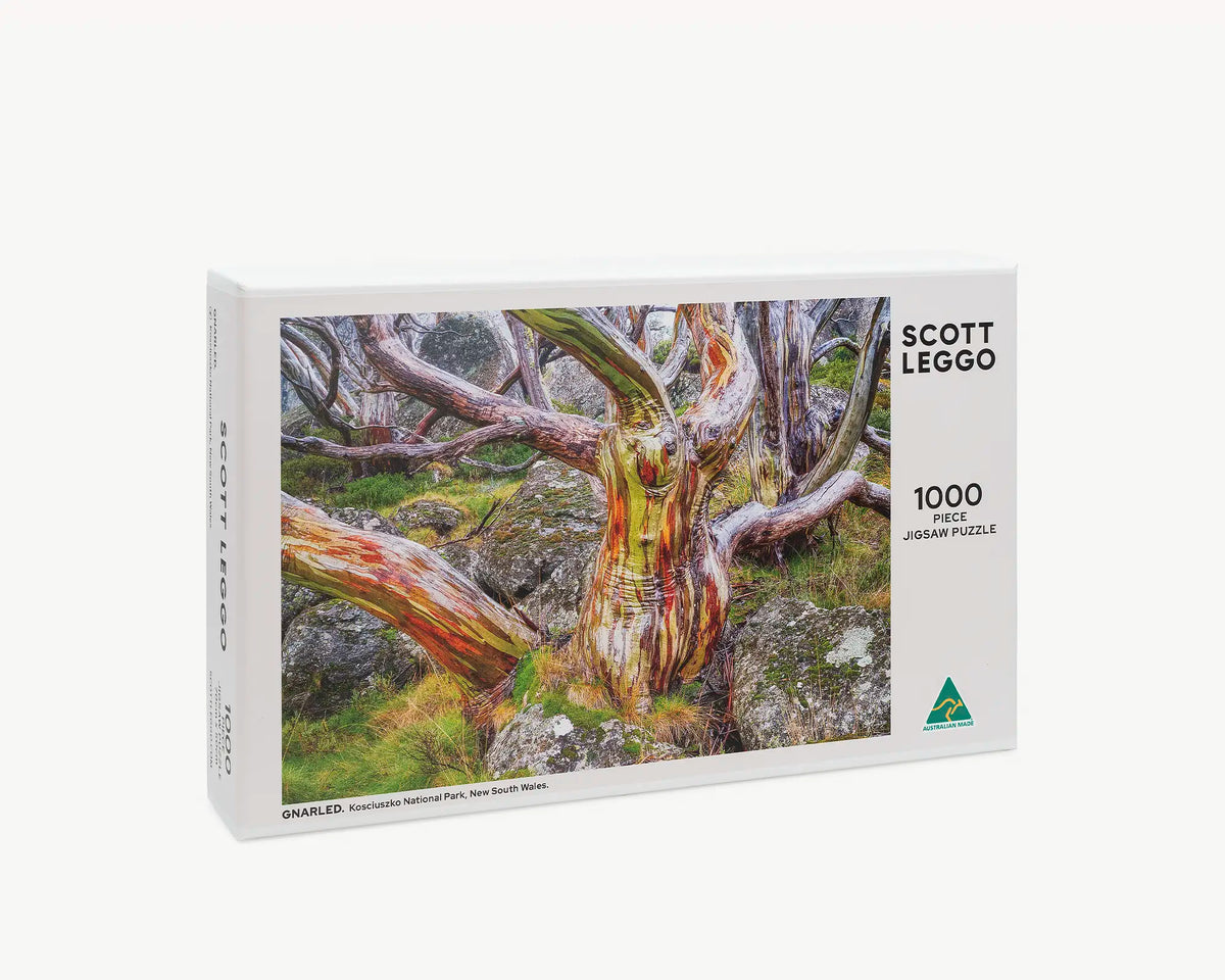 Gnarled. 1000 piece jigsaw puzzle – front of box.