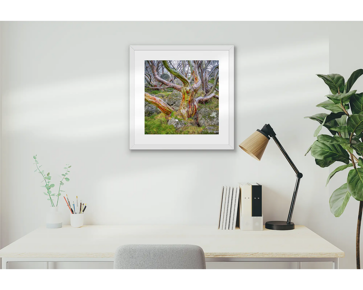 Gnarled. Snow gum artwork hanging above a study desk.