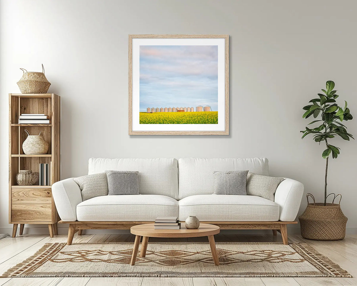 Golden Silos. Canola wall art print, with a timber frame, in a lounge room. 