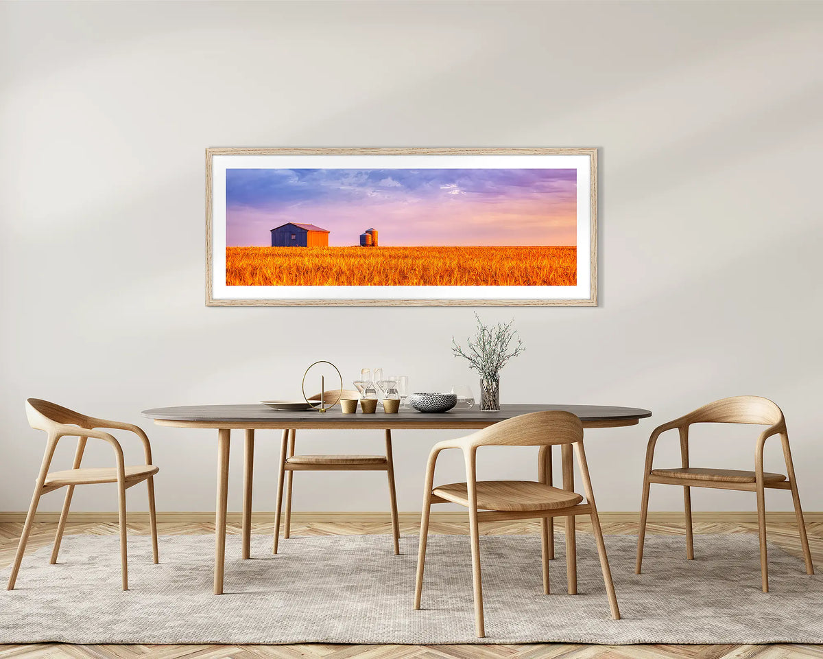 Golden Wheat. Country wheat field sunset, framed wall art with a Tassie oak frame, on a dining room wall. 