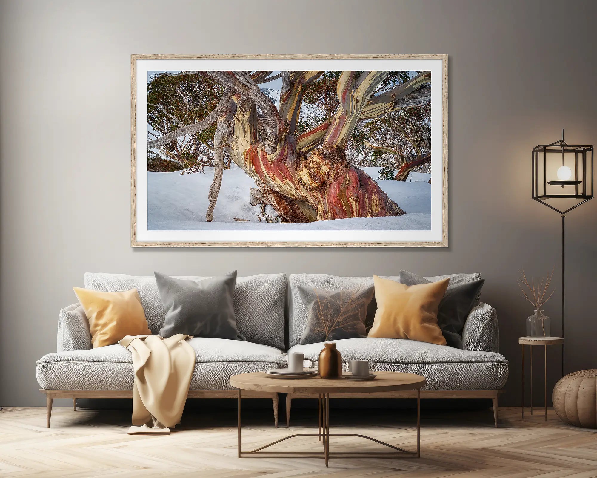 Grandfather. Old snow gum in winter snow, Kosciuszko National Park.