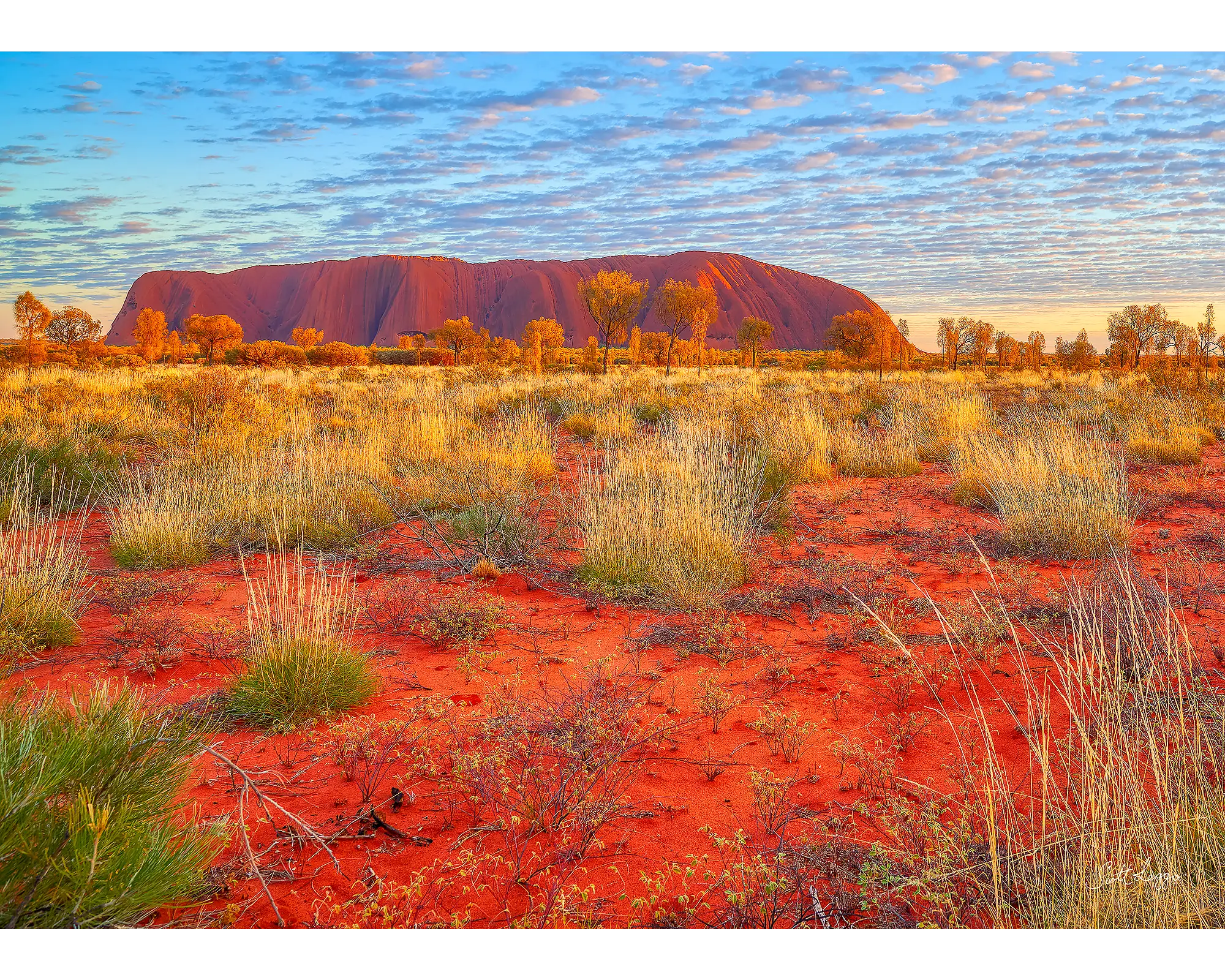 Uluru at sunrise.