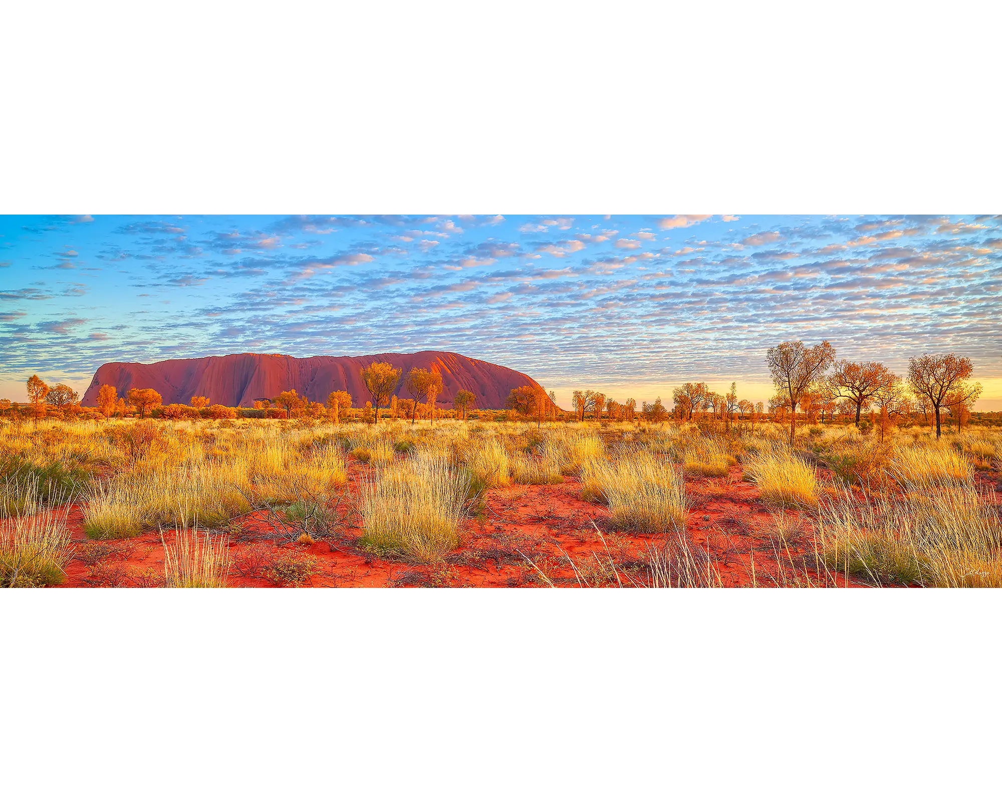 Great Southern Land - Uluru at sunrise.