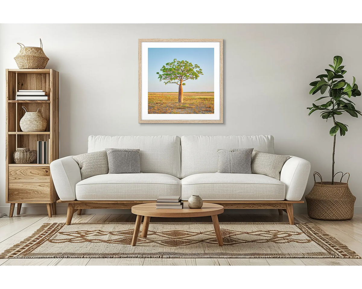 Growth. Boab tree wall art, with a timber frame, in a lounge room. 