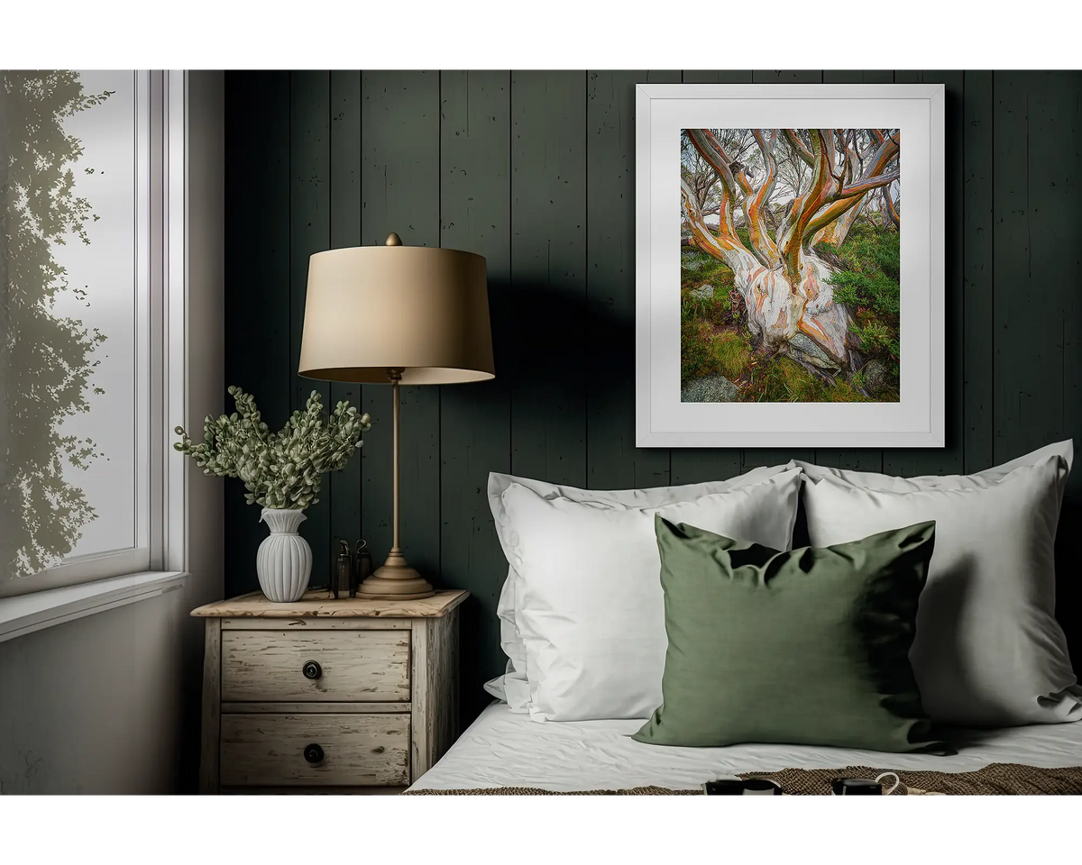 Heart Of The Alps. Snow gum, framed wall art print with a white frame, hanging on a bedroom wall.