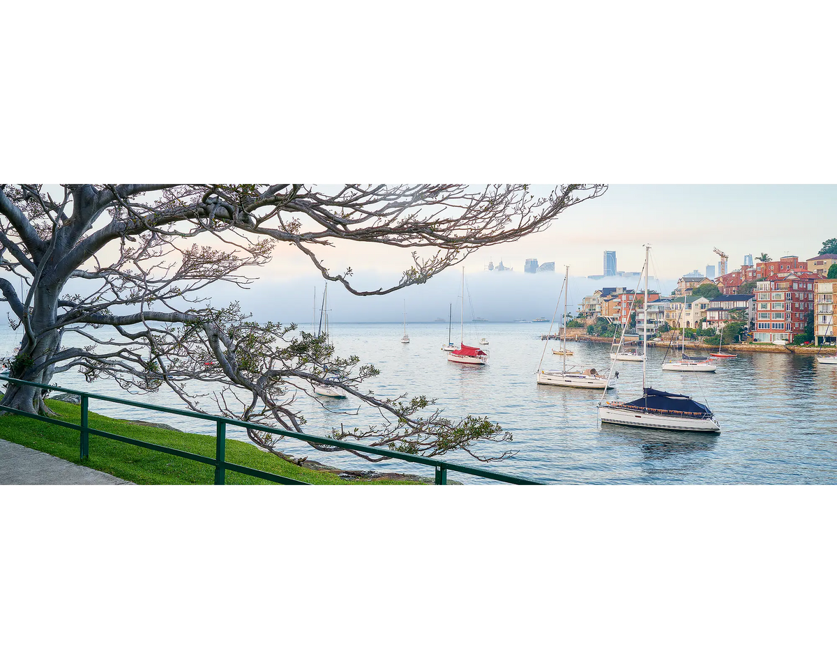 Sydney Harbour with fog at sunrise.