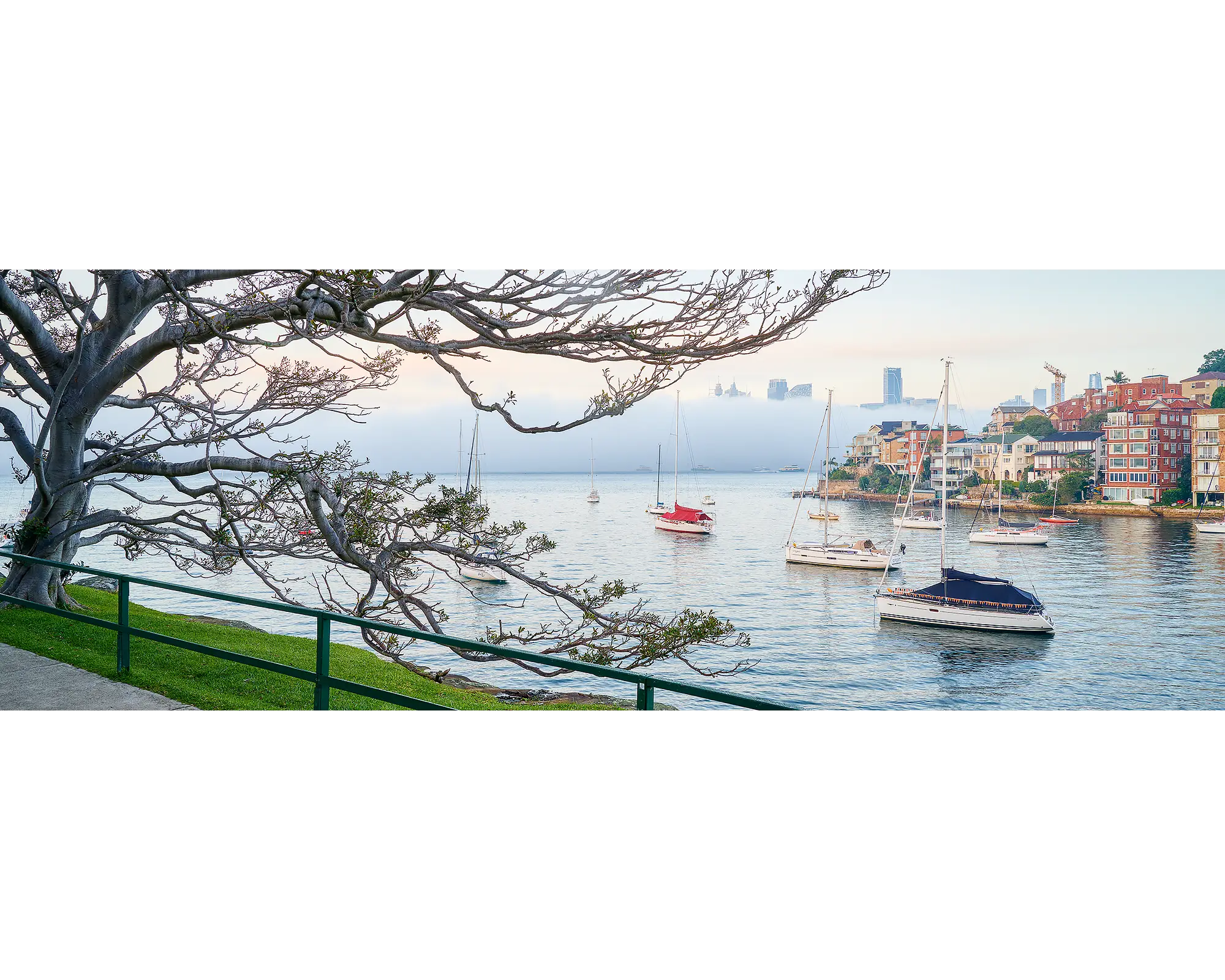 Sydney Harbour with fog at sunrise.