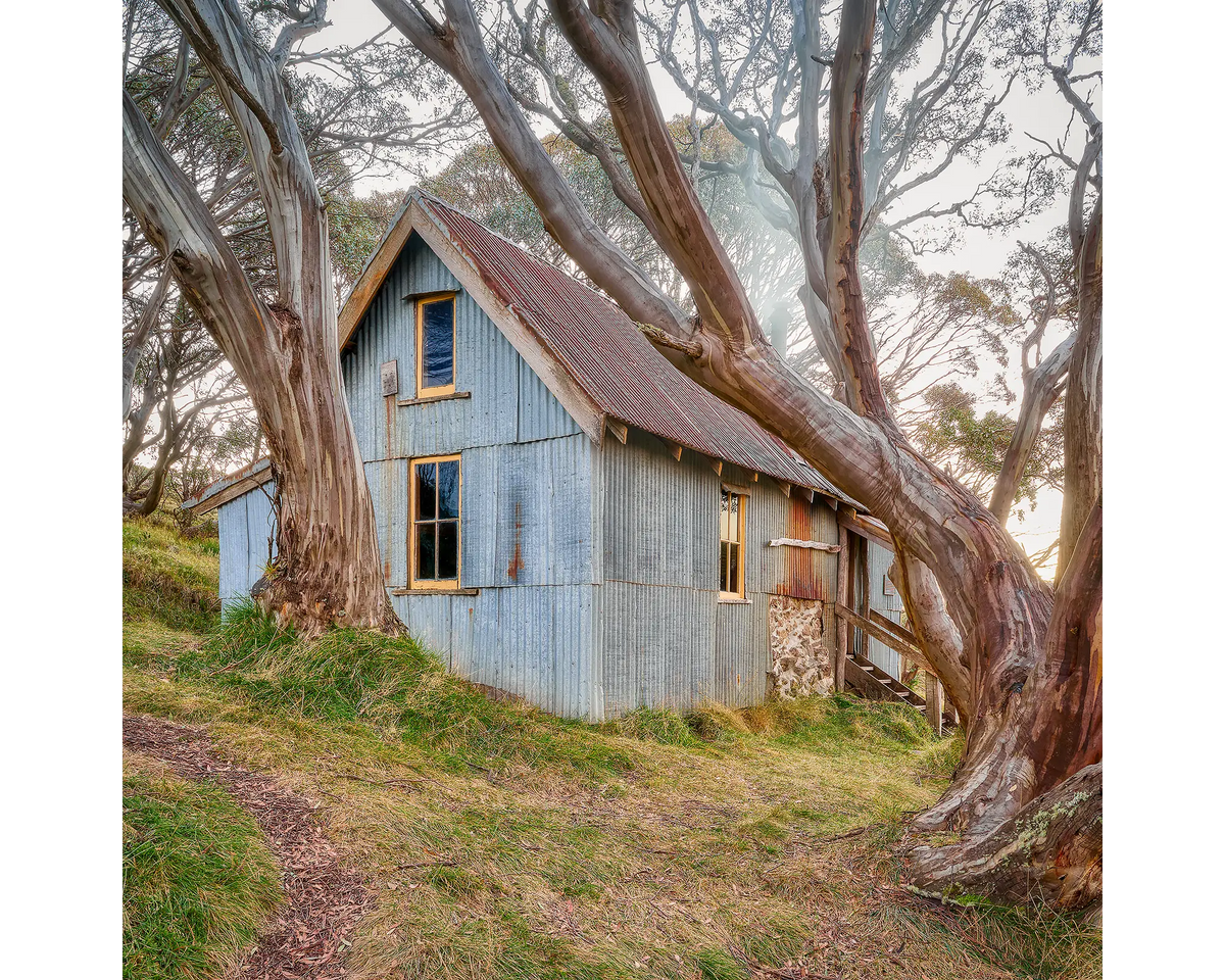 Cope Hut at sunset amongst snow gums, Bogong High Plains, Victoria.