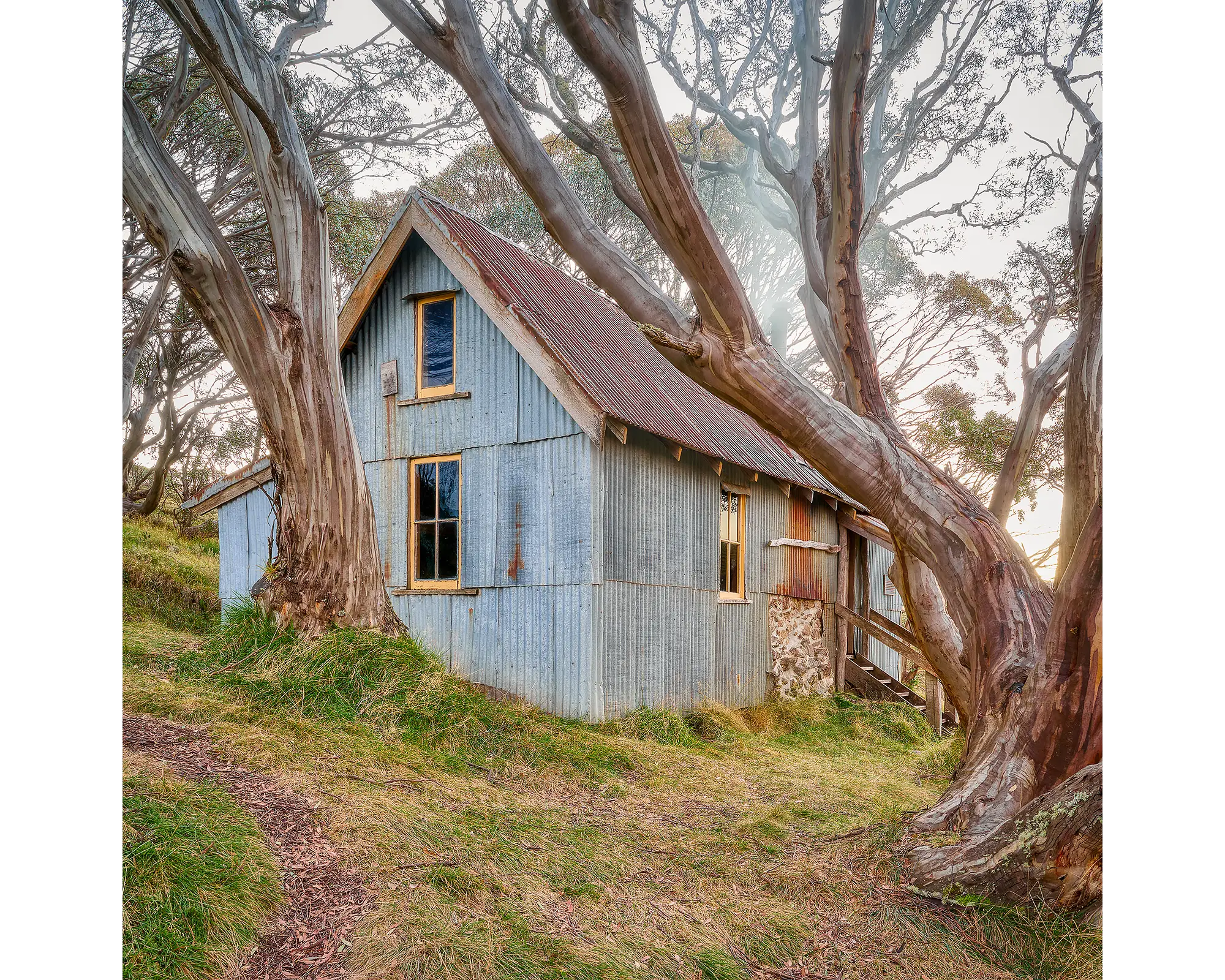 Cope Hut at sunset amongst snow gums, Bogong High Plains, Victoria.