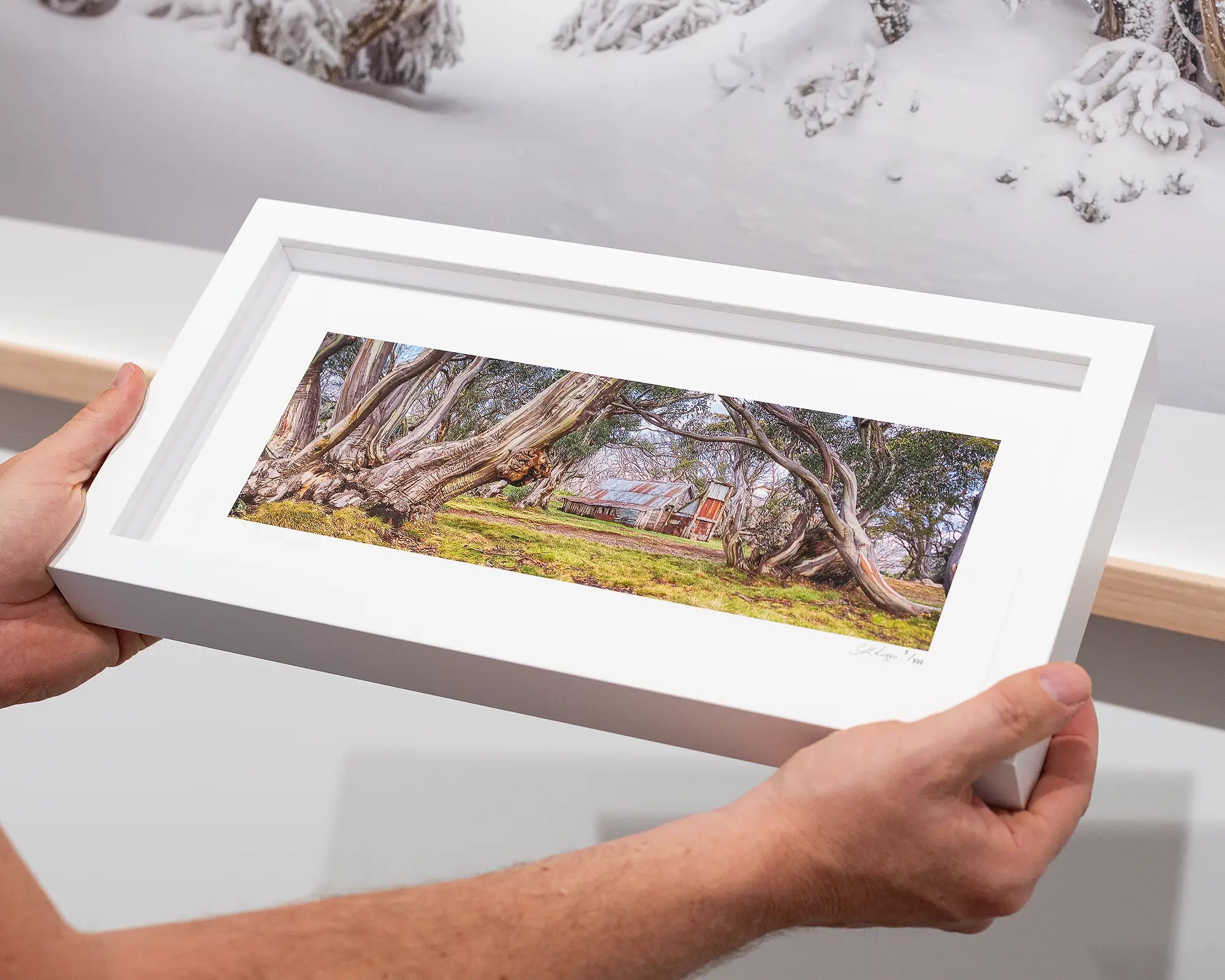 High Country Refuge - Wallaces Hut, Victoria, Australia.