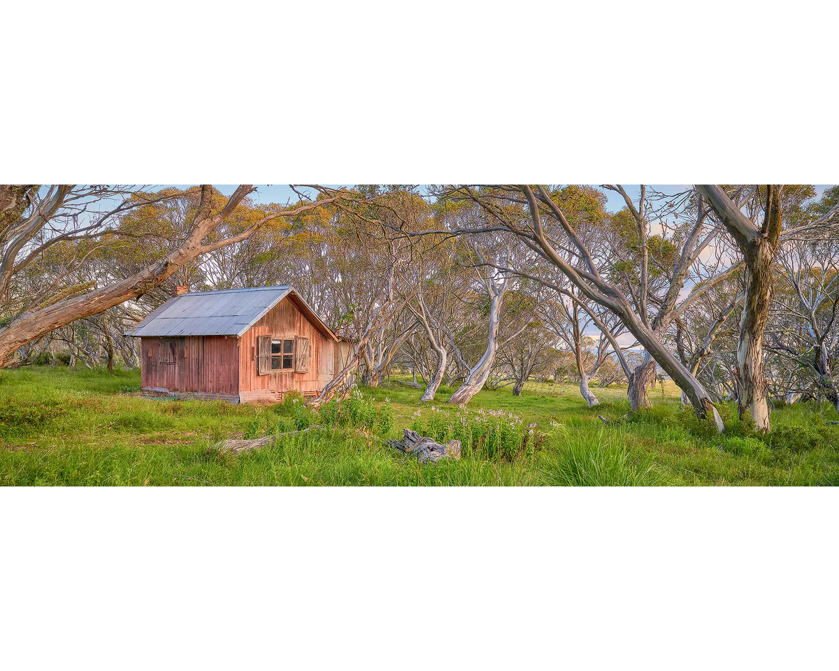 JB Hut at surrounded by snow gums at Dinner Plain, Alpine National Park.
