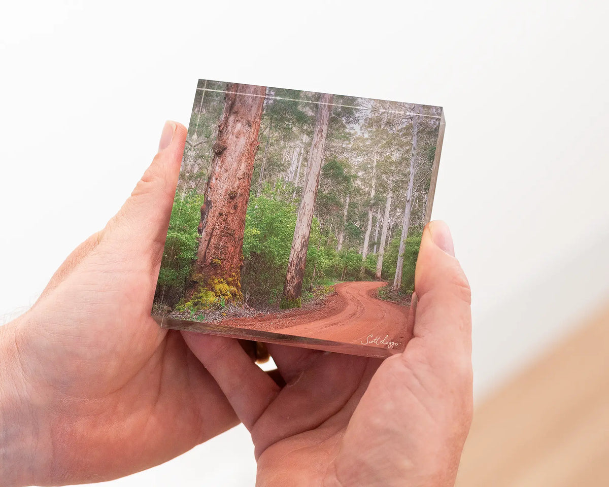 Karri Explorer acrylic block being held. 