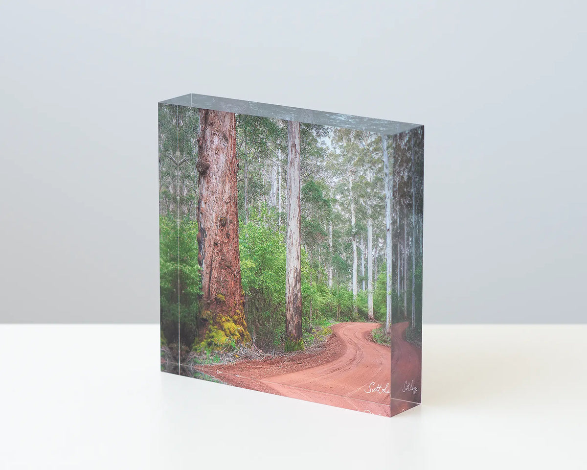 Karri Explorer acrylic block displayed on a desk. 