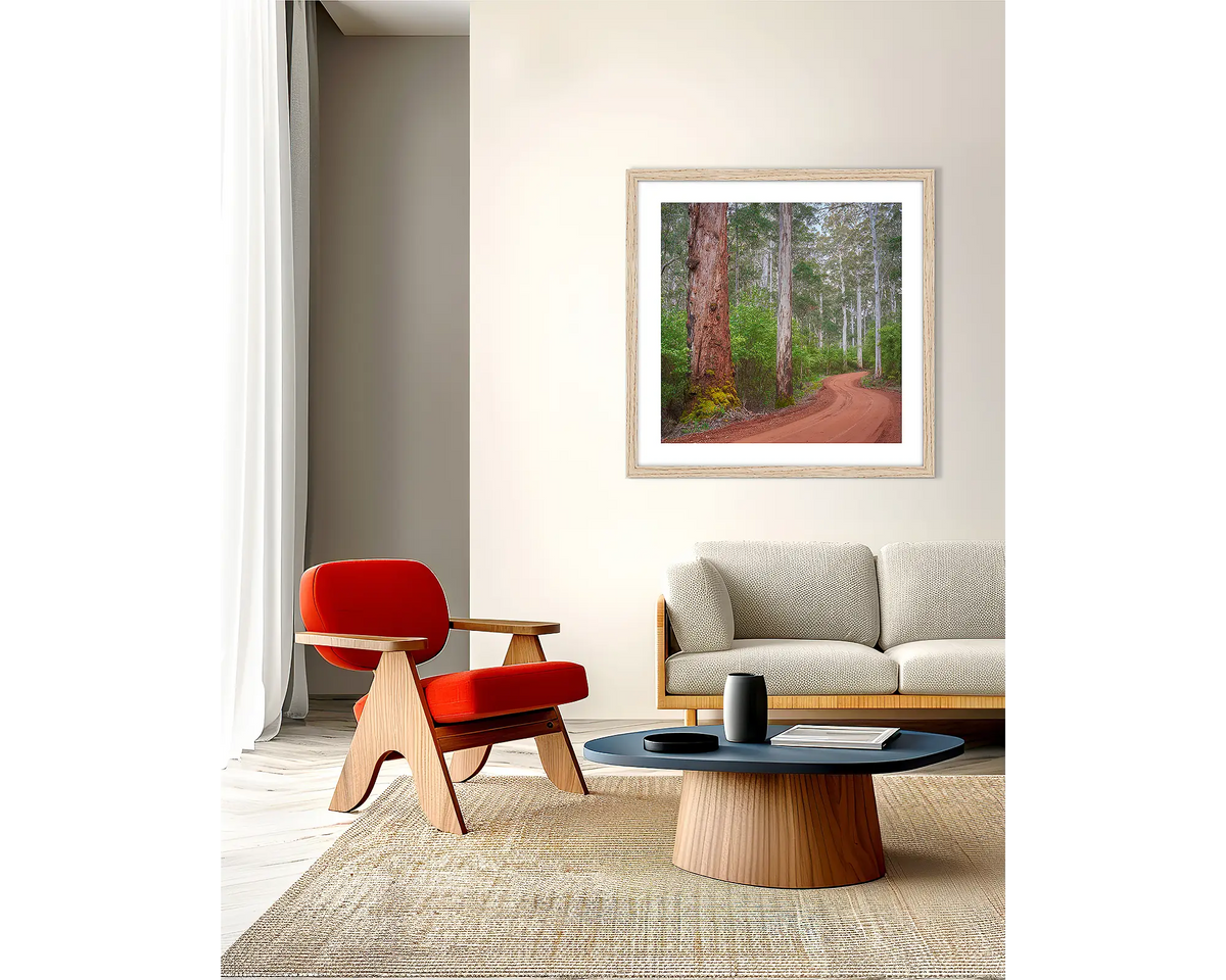 Karri Explorer. Framed wall art print with an oak frame, of a road through a Karri forest, in Western Australia. 