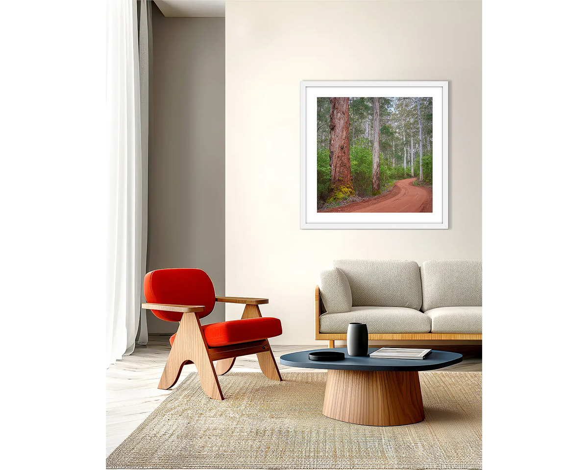 Karri Explorer. Framed wall art print with a white frame, of a road through a Karri forest, in Western Australia. 