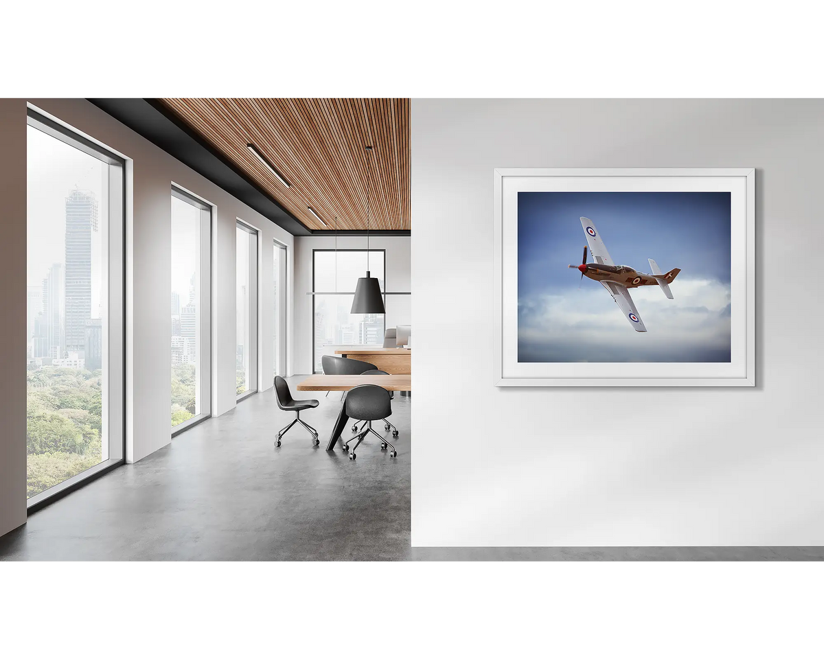 Kiwi Warbird. Aviation artwork in a modern office. 