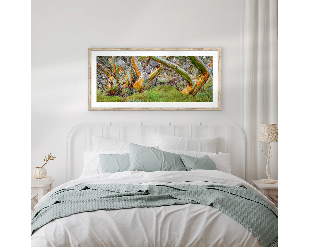 Kosi Colours. Framed snow gum wall art hanging above a bed. 