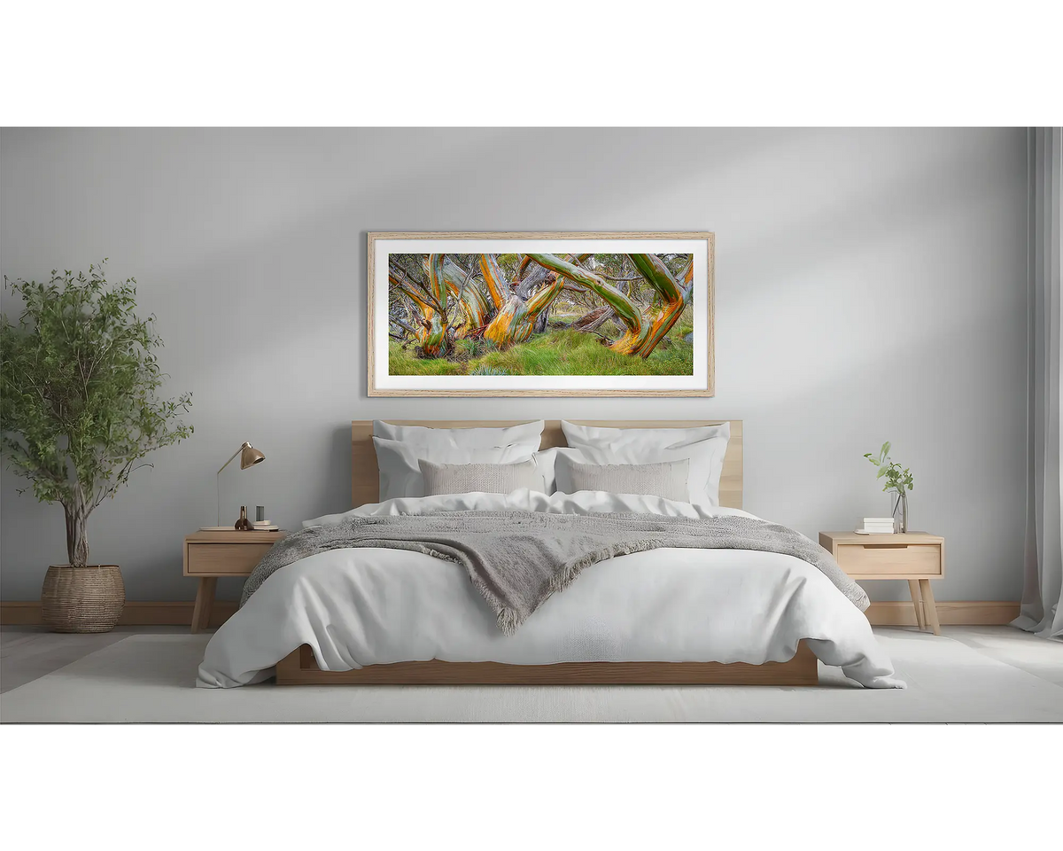 Kosi Colours. Framed snow gum wall art in a Tasmanian Oak frame, above a bed.