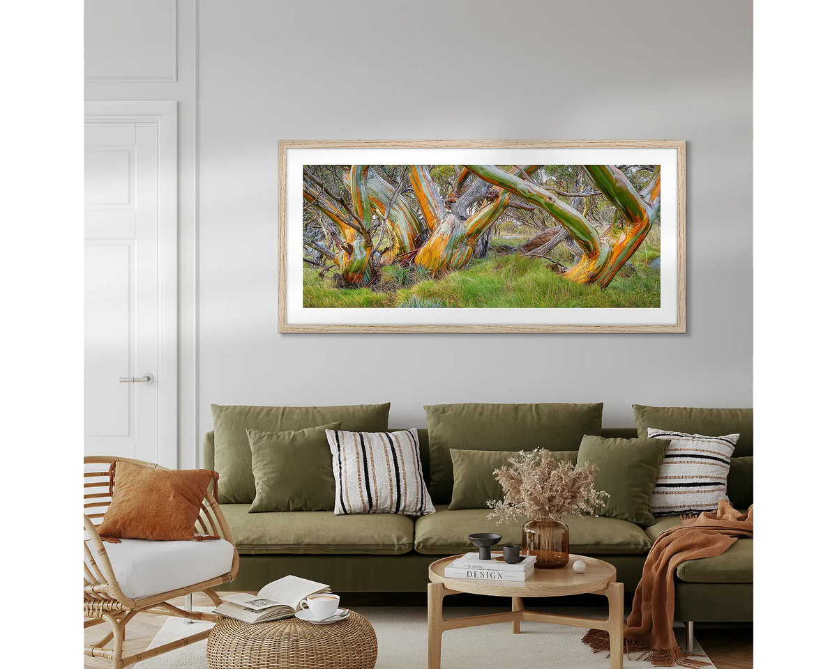 Kosi Colours. Snow Gum wall art hanging above a couch, in a living room,