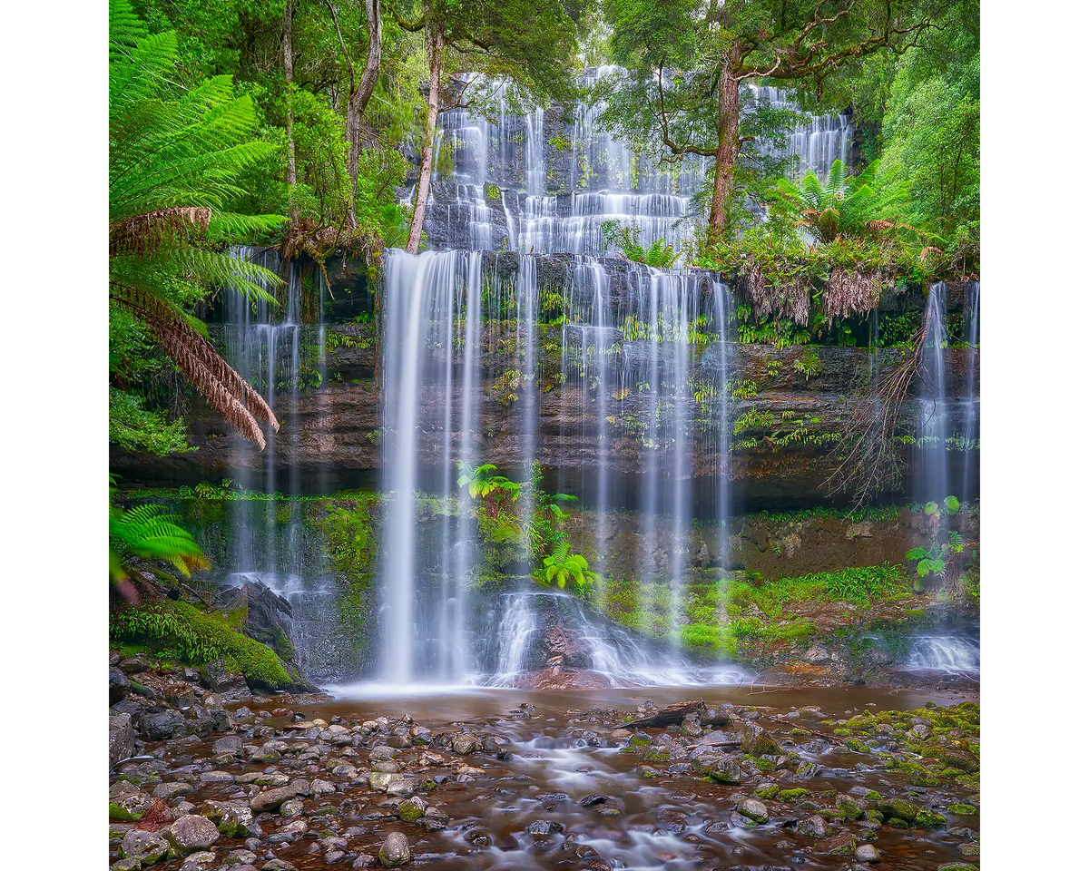 Water flowing over exposed rock with lush greenery, Russell Falls, Mount Field National Park, Tasmania. 