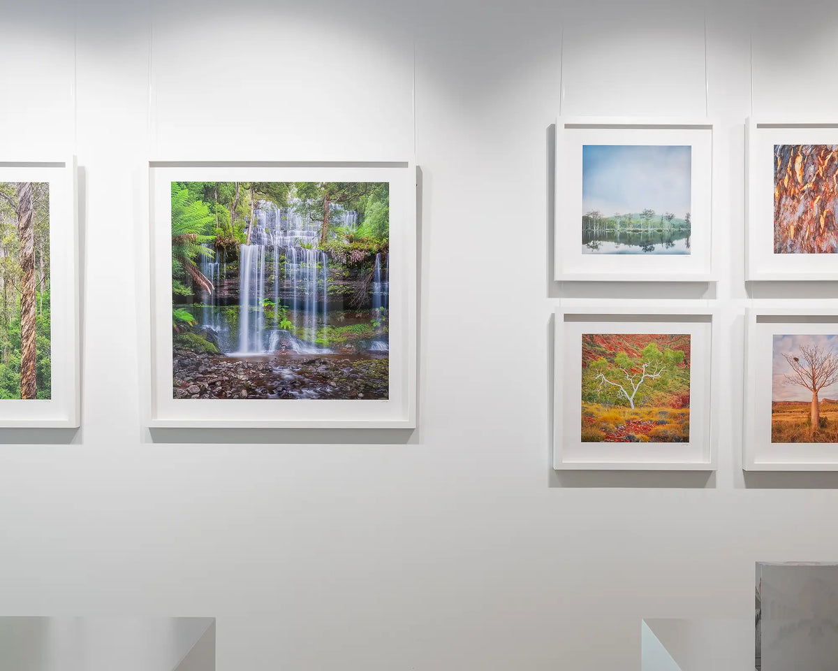 Layers.Russell Falls in Mount Field National Park. Tasmania wall art hanging on a wall in a gallery.