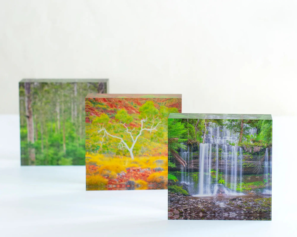 Layers acrylic block on display with other Australian landscape acrylic blocks. 