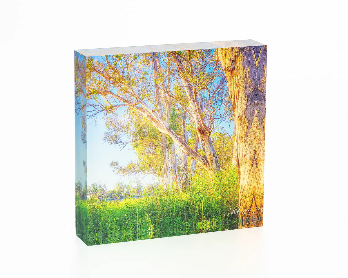 Leaning In acrylic block - Murray River artwork. 