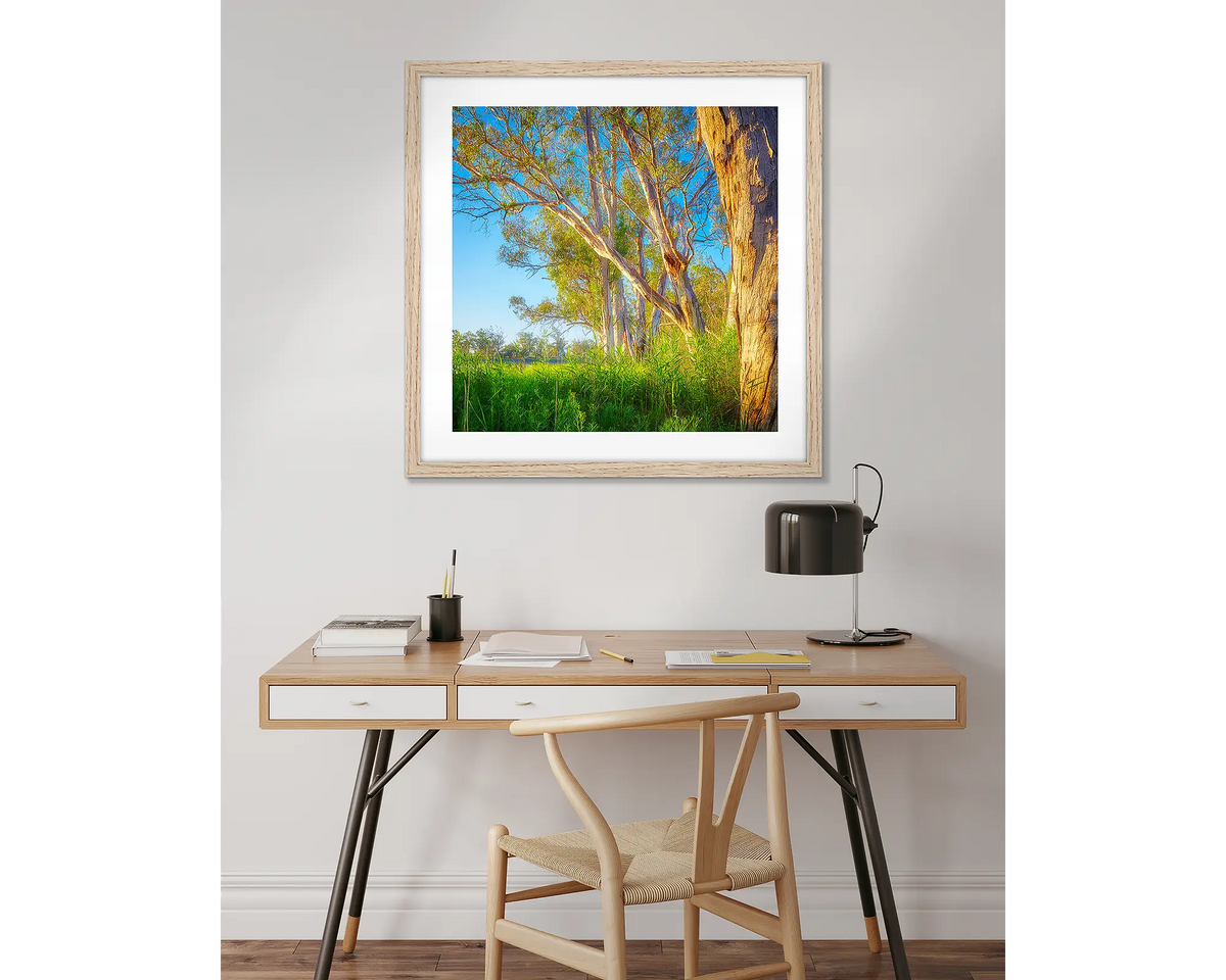 Leaning In. Gum tree wall art in a timber frame, hung above a desk. 