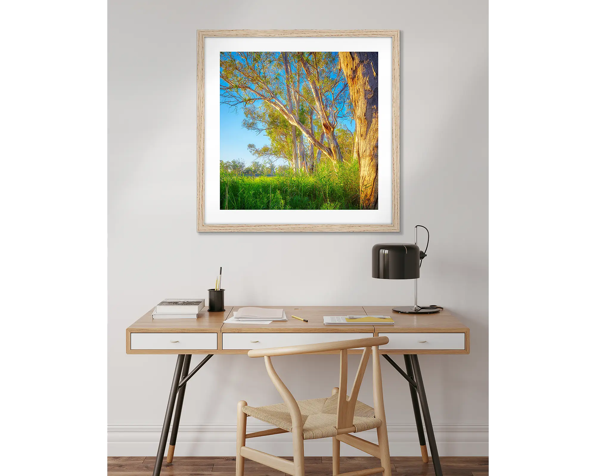 Leaning In. Gum trees beside Murray River, South Australia.