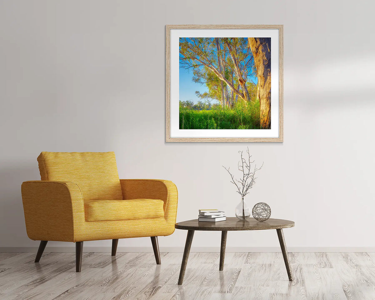 Leaning In. Gum tree wall art in a timber frame. 