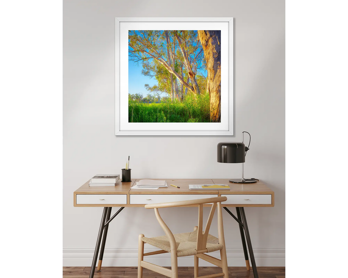 Leaning In. Gum tree wall art in a white frame hung above a desk. 