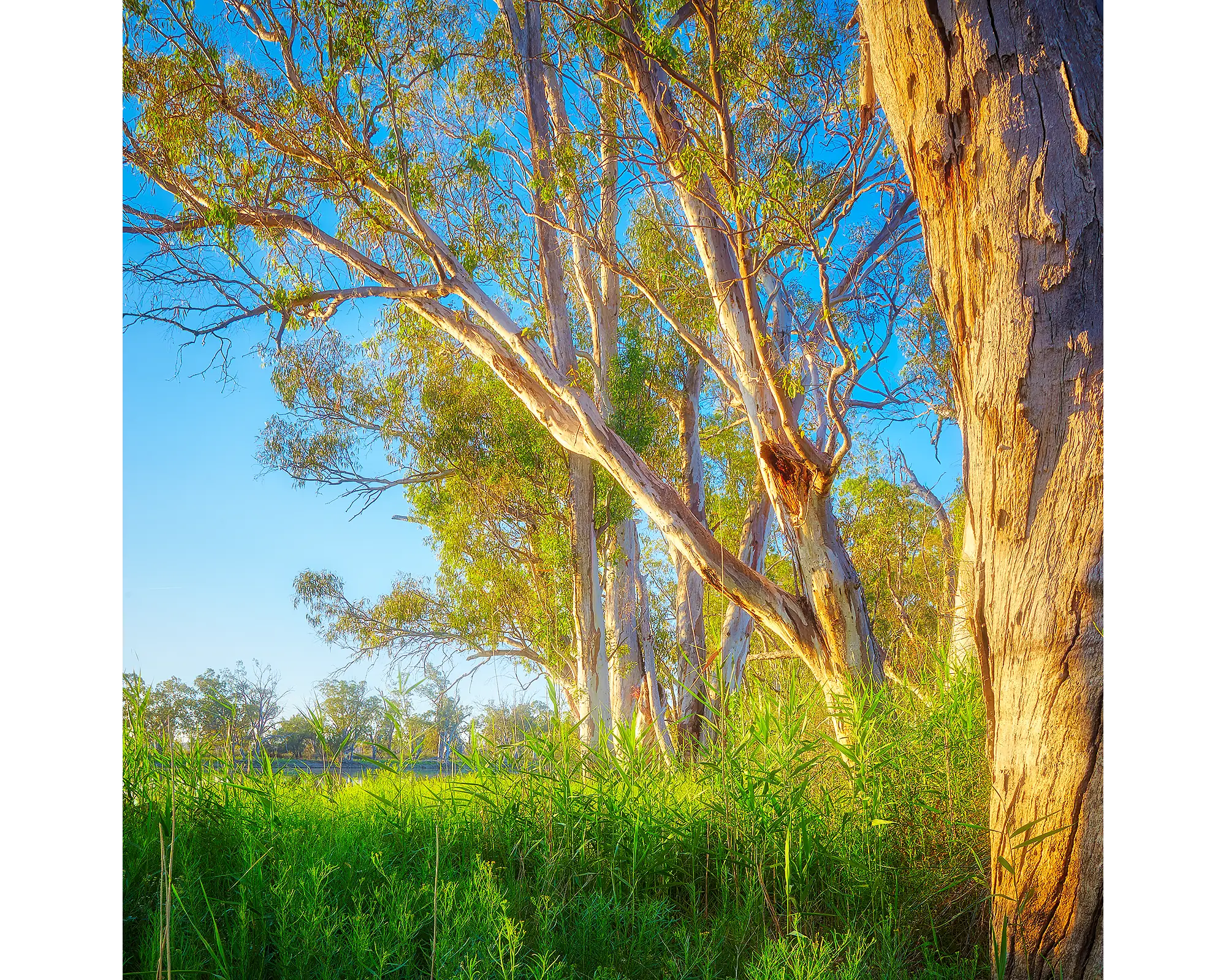 Leaning In acrylic block - Murray River artwork. 