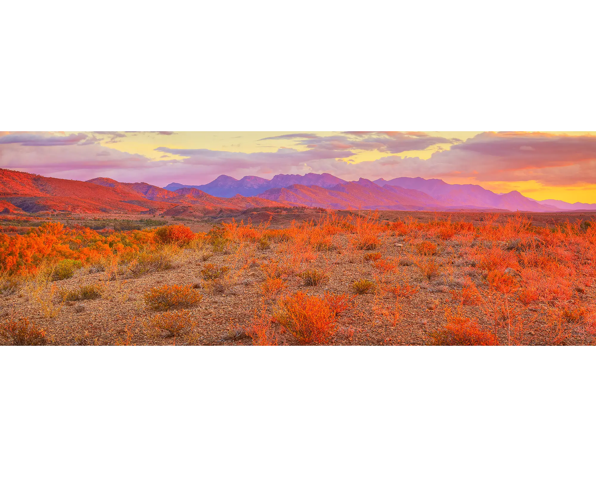 Lighting the Flinders. Sunset over wilpena pound ranges, South Australia.