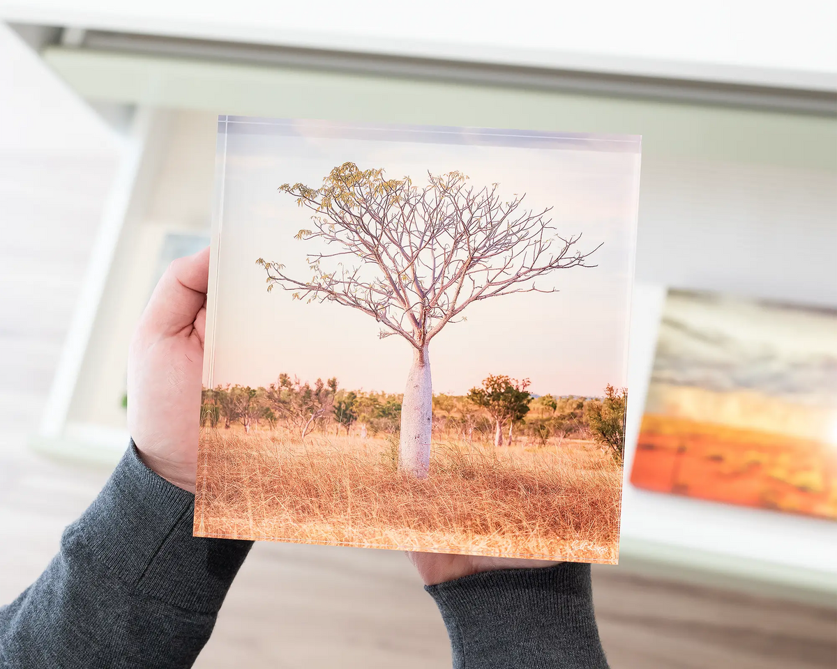 Little One - boab tree acrylic block being held. 