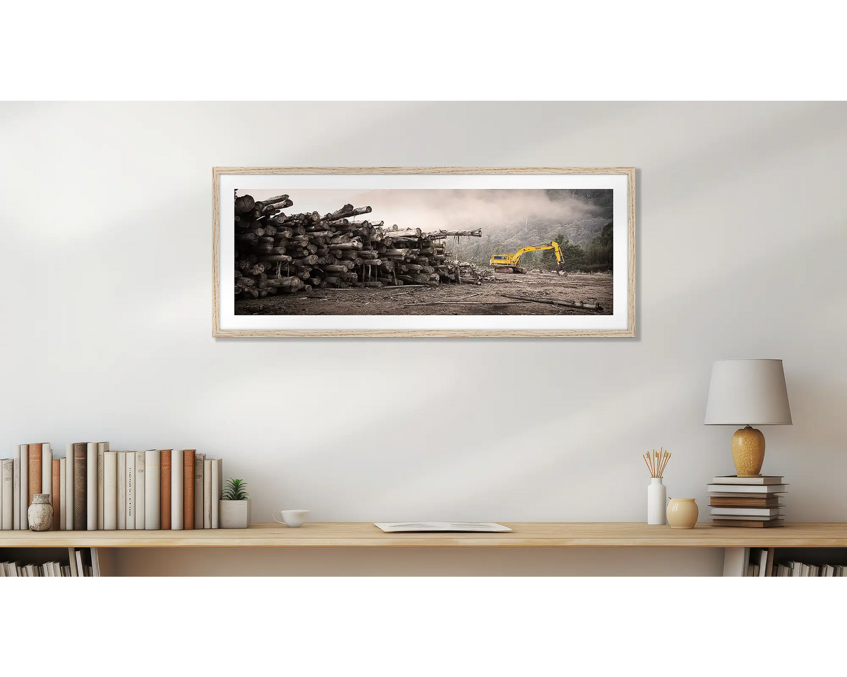 Logging. Buckland Valley wall art print, with a Tasmanian Oak frame, hung above a bookshelf. 