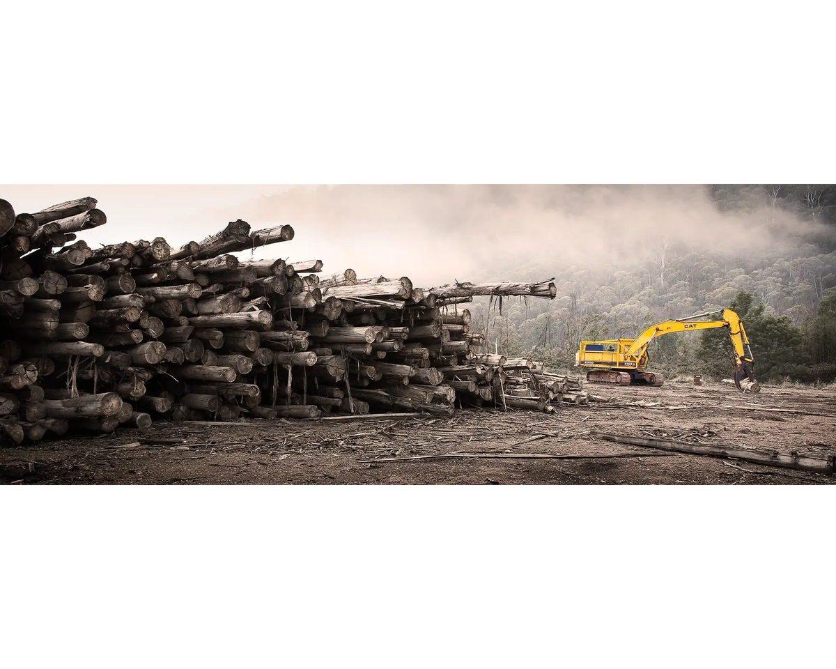 Logging. Yellow Digger with logs in Buckland Valley, Victoria.