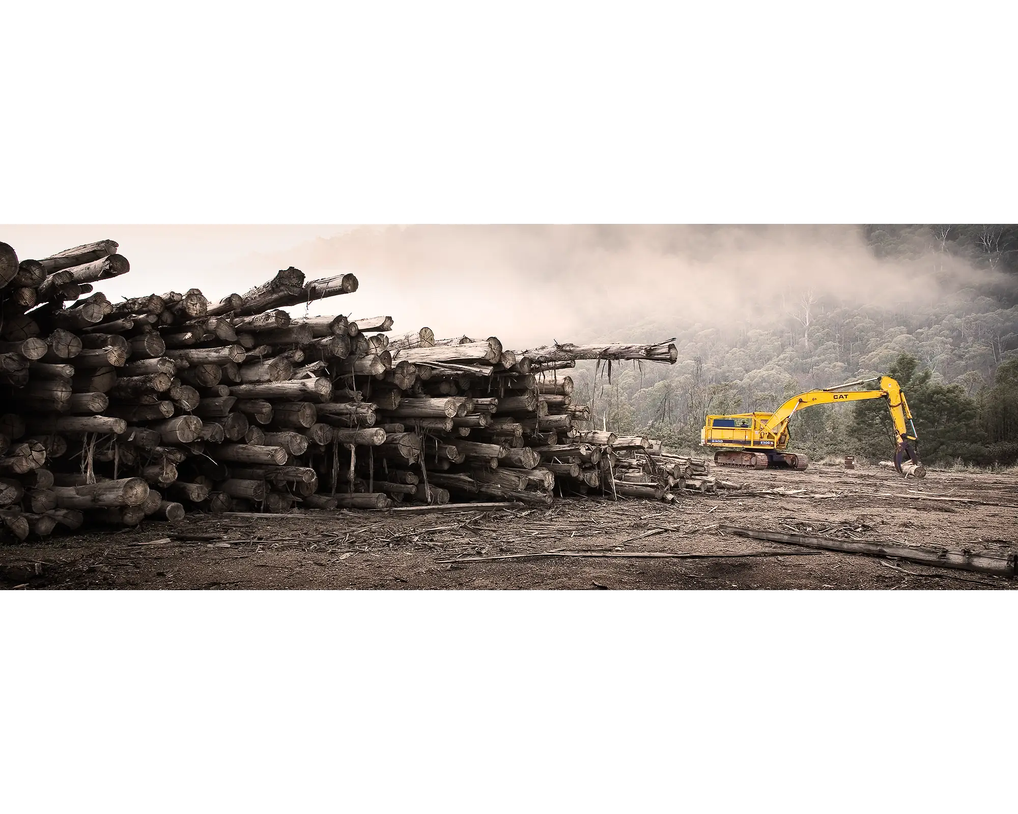 Logging. Yellow Digger with logs in Buckland Valley, Victoria.