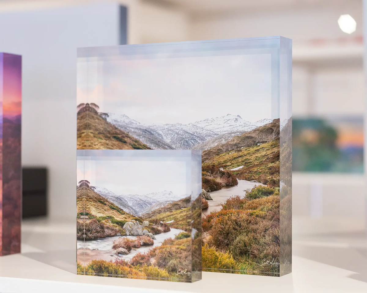 Looking Up acrylic blocks displayed on a shelf. 