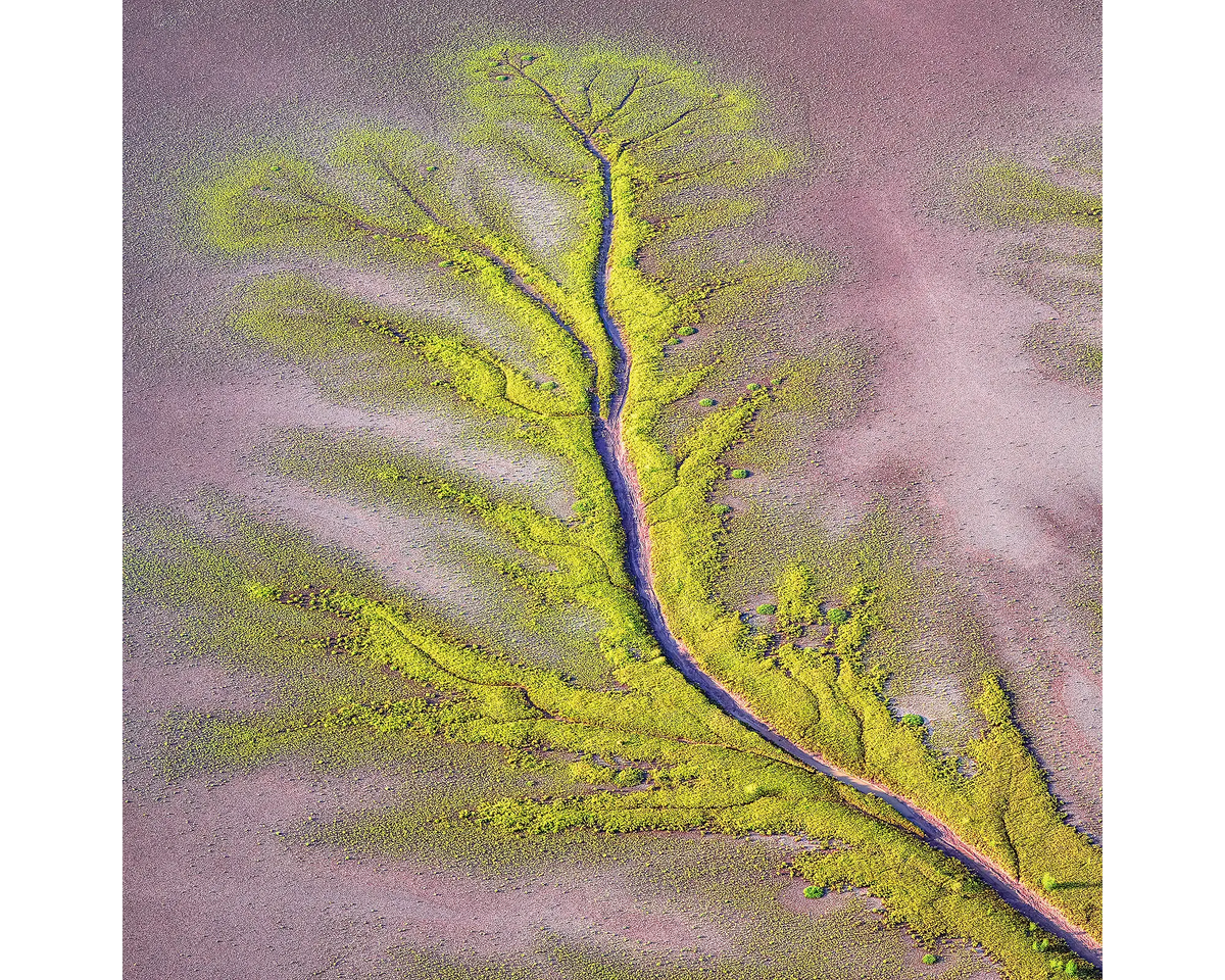 Aerial view of the King River, the Kimberley, WA. 