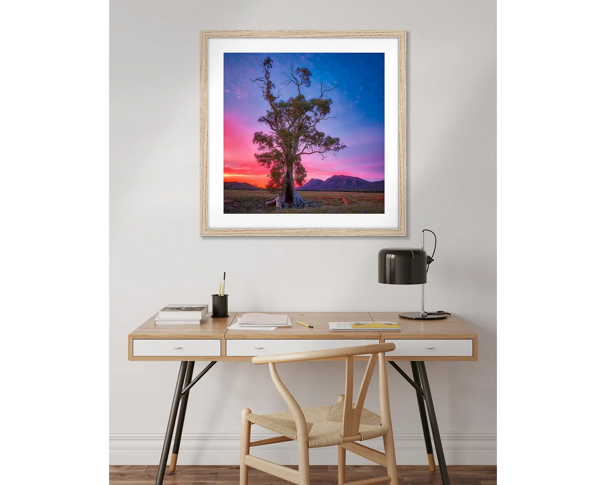 Majestic. Cazneaux tree artwork, in a timber frame above a desk. 