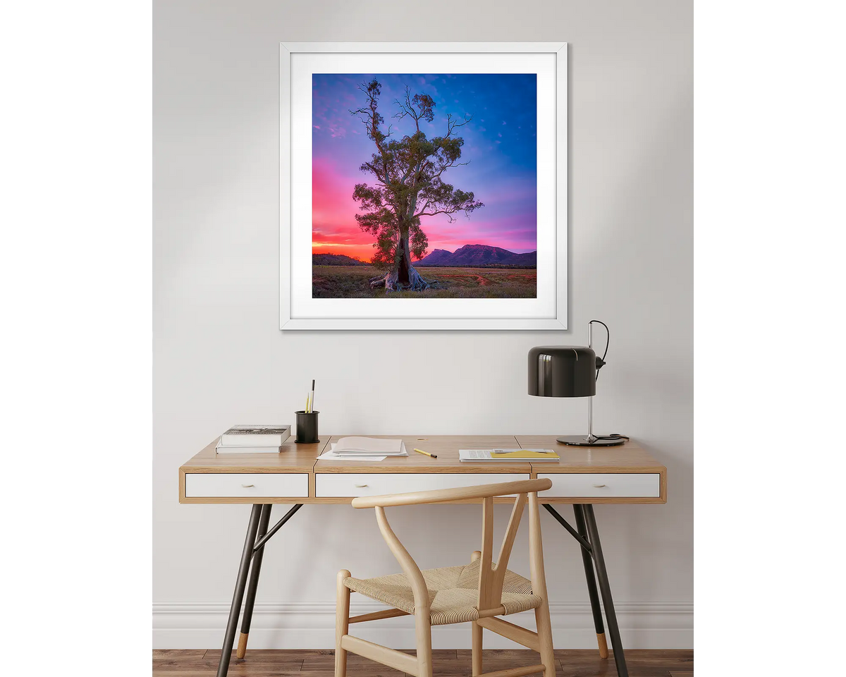 Majestic. Cazneaux tree artwork in a white frame above a desk. 