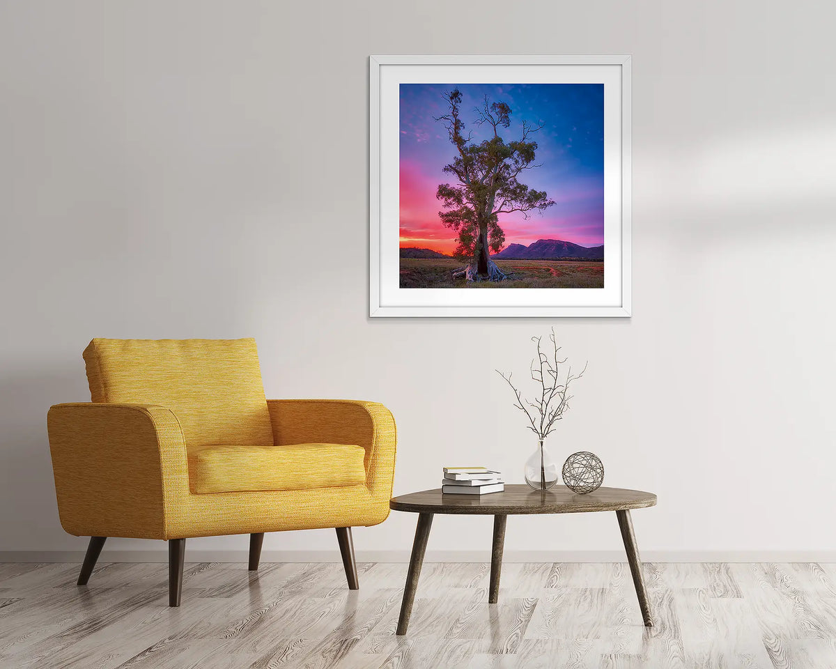 Majestic. Cazneaux tree artwork in a white frame. 