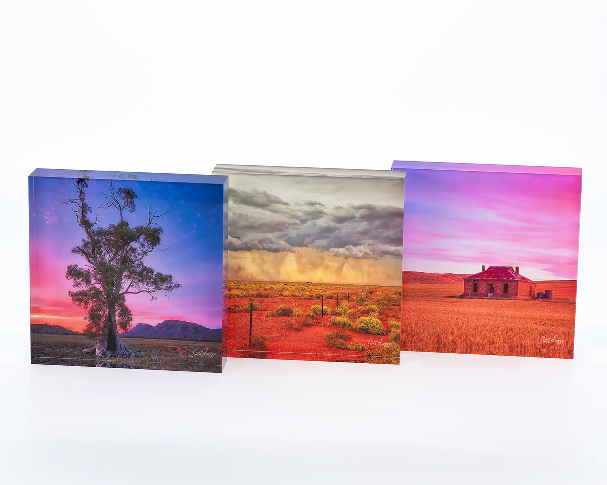 Majestic displayed next to other outback themed acrylic blocks. 