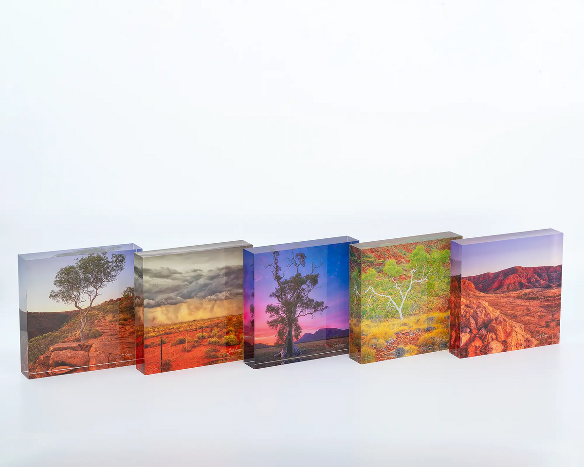 Majestic displayed with other outback desert acrylic blocks. 