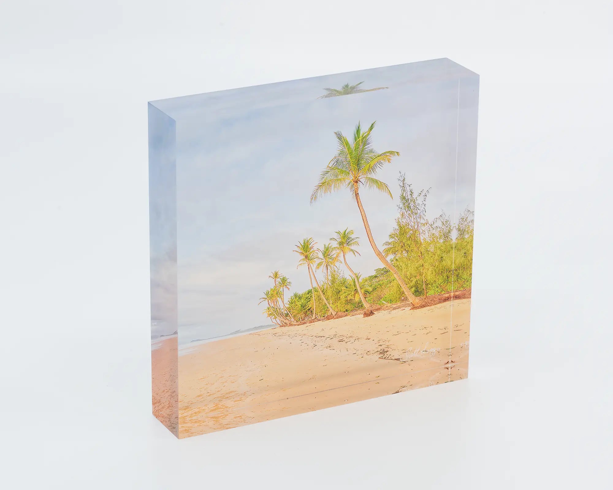 Mission Palms acrylic block - palm trees at Mission Beach, coastal artwork. 