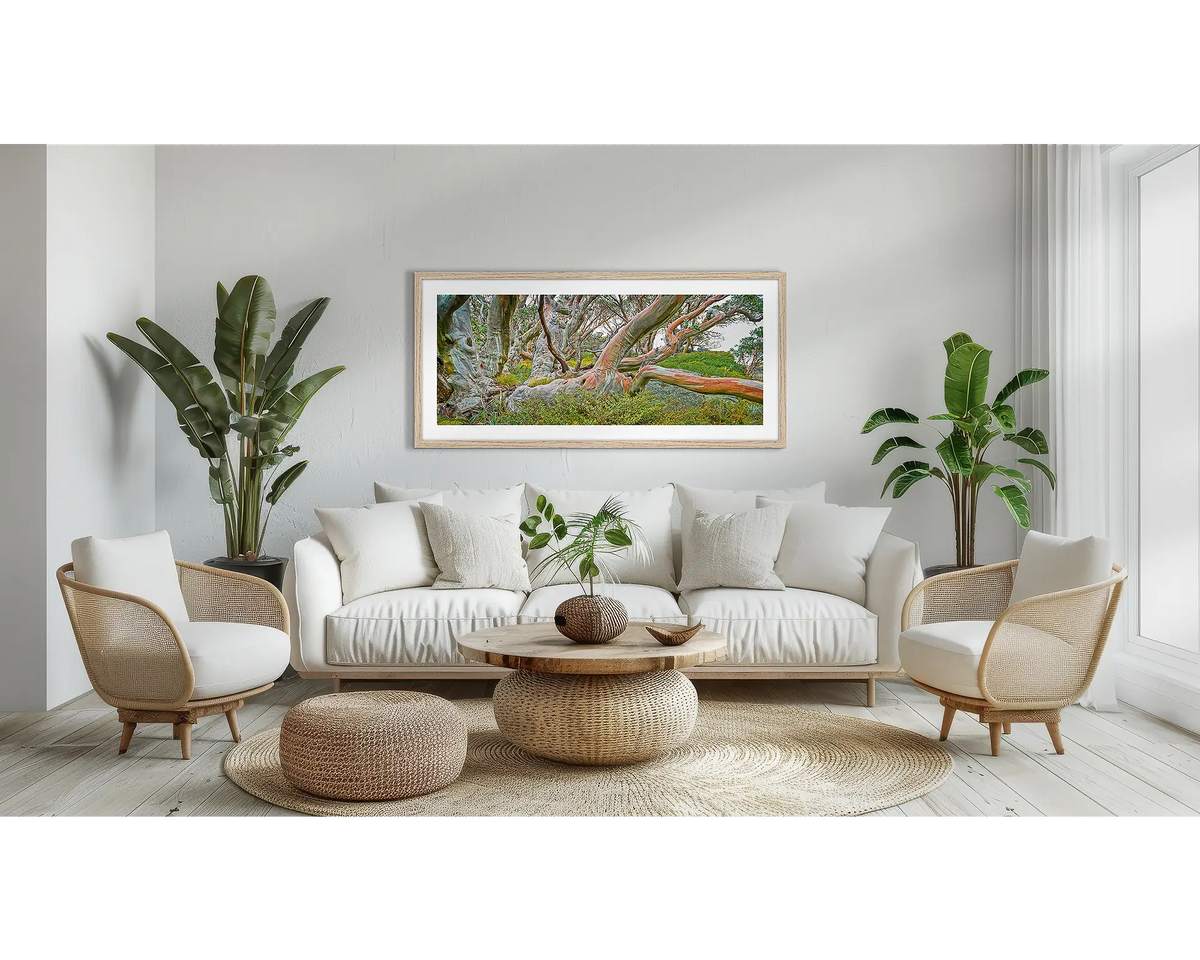 Mountain Warrior. Snow Gum wall art print, with a timber frame, above a couch. 