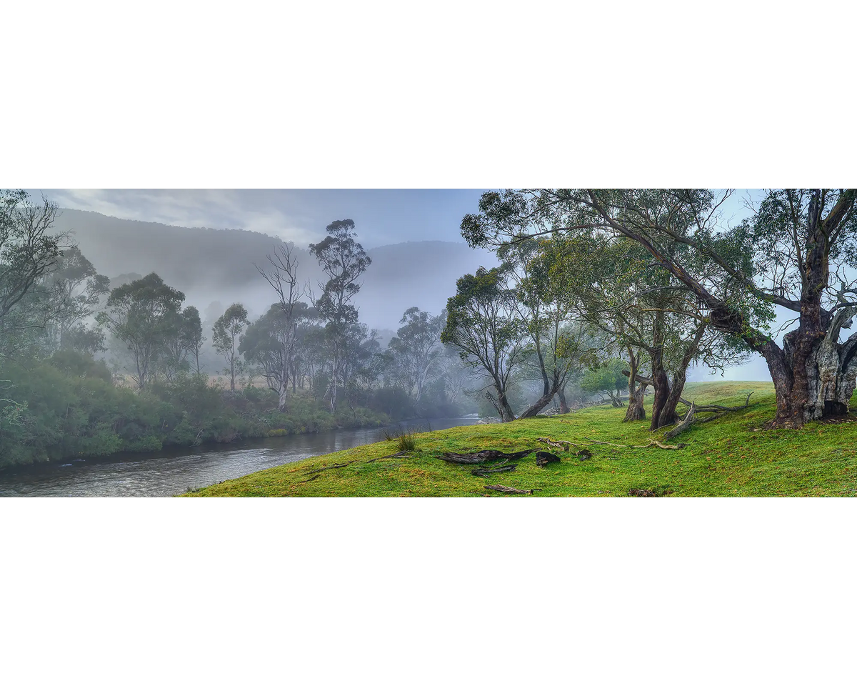 Morning fog along the upper Murray River,  Victoria. 